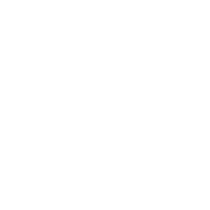 Italian Trade Agency
