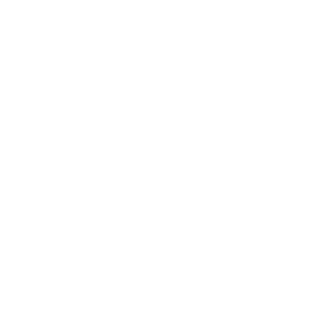 Zoomin Groomin